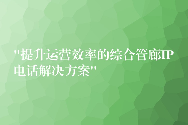  “提升運(yùn)營效率的綜合管廊IP電話解決方案”