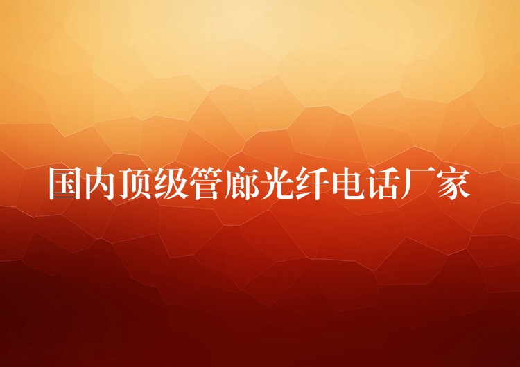  國(guó)內(nèi)頂級(jí)管廊光纖電話廠家