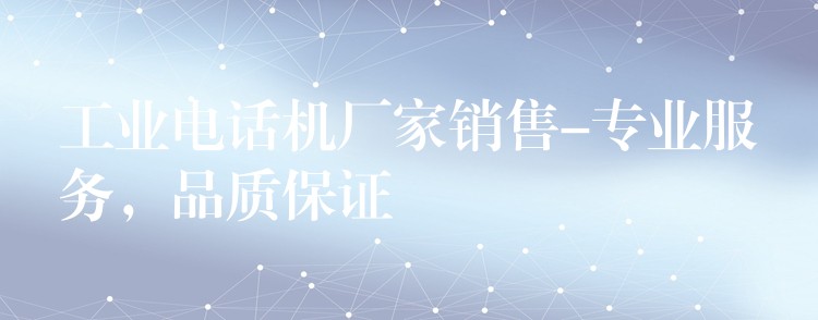 工業(yè)電話機(jī)廠家銷售-專業(yè)服務(wù)，品質(zhì)保證
