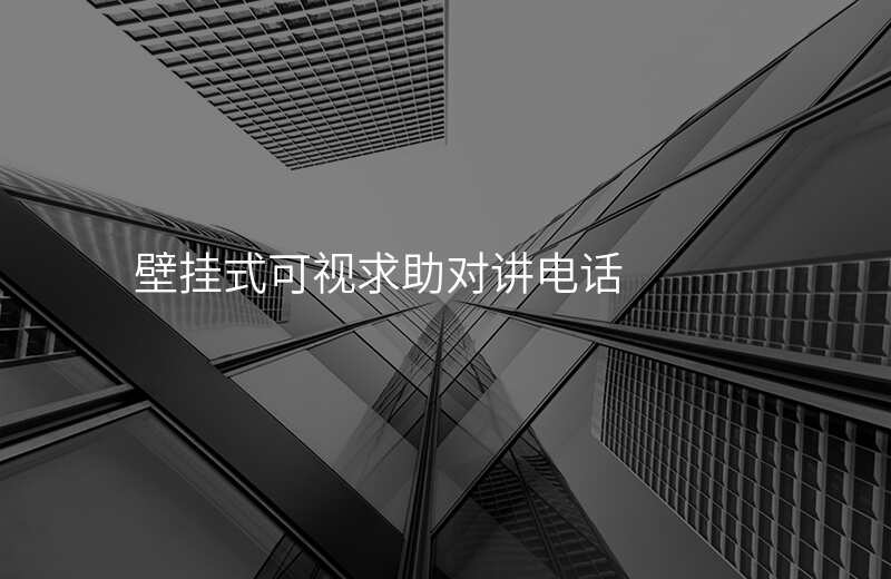  壁掛式可視求助對講電話