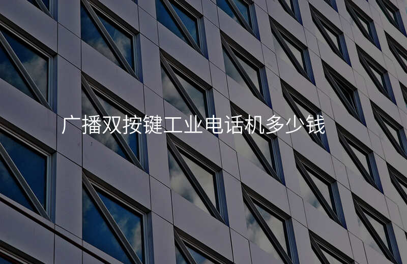  廣播雙按鍵工業(yè)電話機多少錢